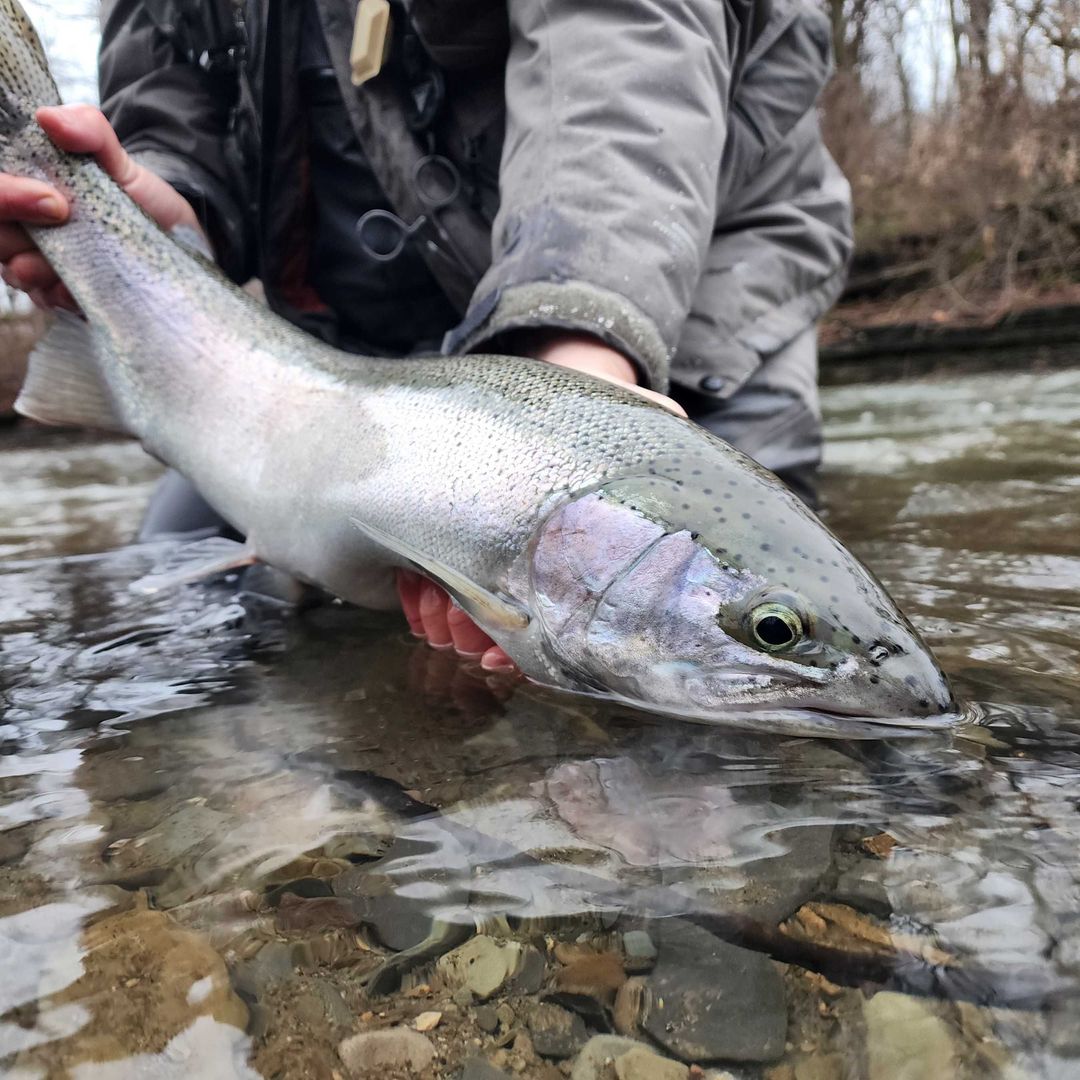 Flyfishing 101 / Learn To Fly Fish 